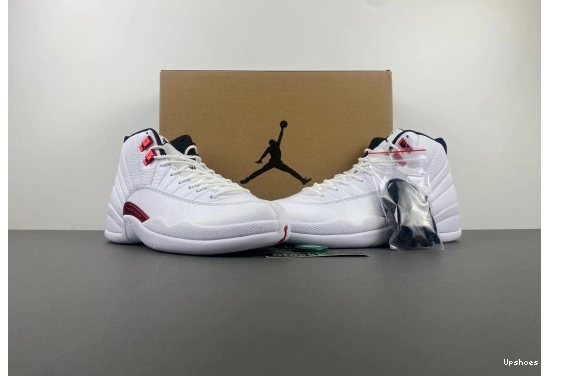 CT8013-106 “Twist” Jordan CT8013-106  12 Air 0606